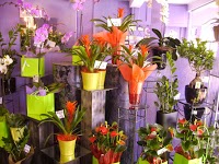 The Flower Shop Leeds 1093582 Image 0